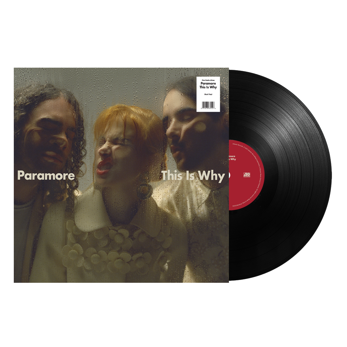 This Is Why (Standard Vinyl)