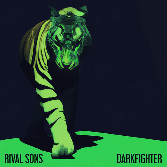 DARKFIGHTER CD
