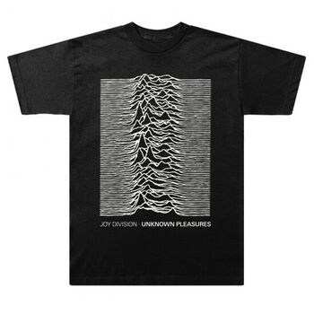 Unknown Pleasures Text Black T-Shirt