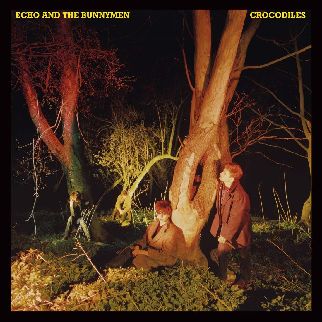 Crocodiles (1LP Yellow) | The Music Store