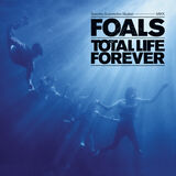 Total Life Forever 12" Vinyl