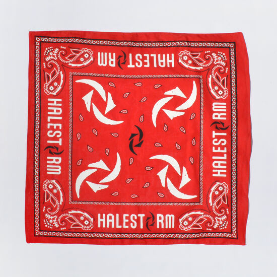 Swirly Paisley Bandana